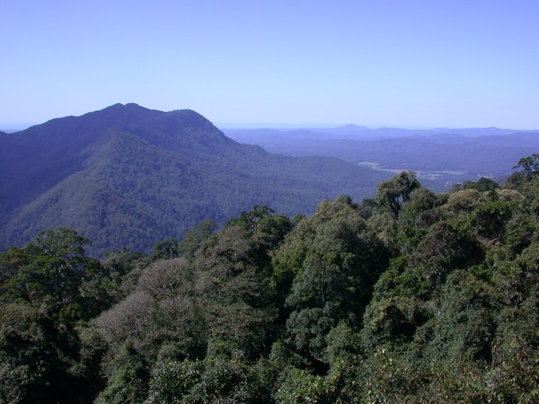 Dorrigo Mountains Lookout